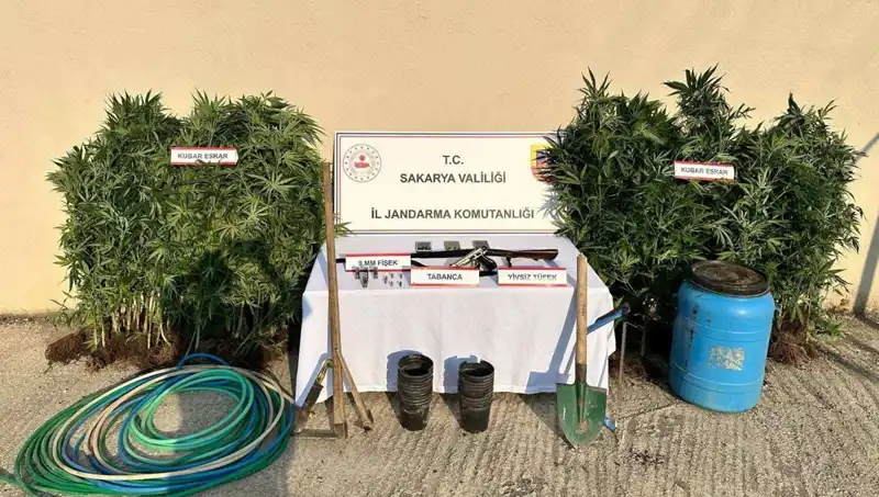 Sakarya'da Uyuşturucu Operasyonu: Şok Detaylar ve Bir Tutuklama!