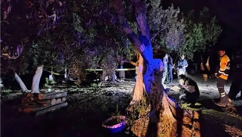 Çiftlikte Baltayla Gerçekleşen Vahşet Olayına Tutuklama Geldi