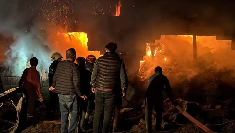 Bolu’da Korkutan Ahır Yangını: Hayvanlar ve Mülk Tehlikede