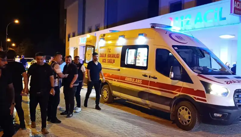 Kardeşi İçin Araya Girdi, Ölümle Sonuçlanan Kavga
