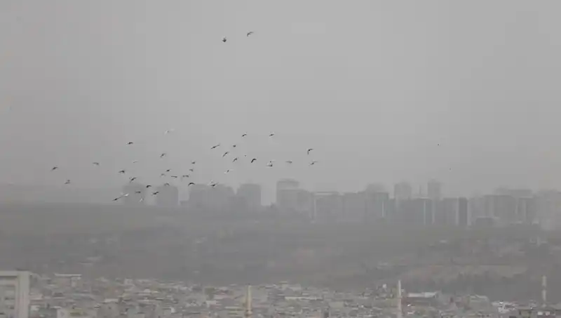 Şanlıurfa'da Görülmemiş Toz Fırtınası: Kenti Kaplayan Bulut Neden Ortaya Çıktı?