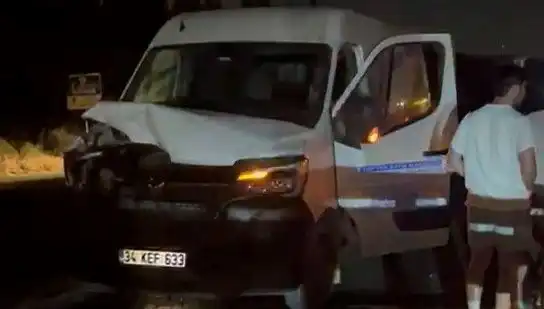 İstanbul'da Manda Kazası: Kaza Sonrası Üç Kişi Yaralandı