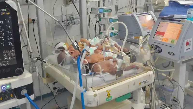 Gazzeli Doktorların Çağrısı: Aynı Kuvözde Birden Fazla Bebek Hayat Mücadelesi Veriyor