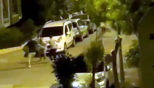 Avcılar'da Yaşanan Saldırı: Vatandaşlar Kurtardı, Saldırganlar Kaçtı