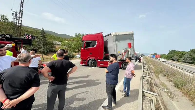 Seyir Halinde Arı Sokması Aracın Kontrolünü Ele Geçirdi: Trafik Felç Oldu