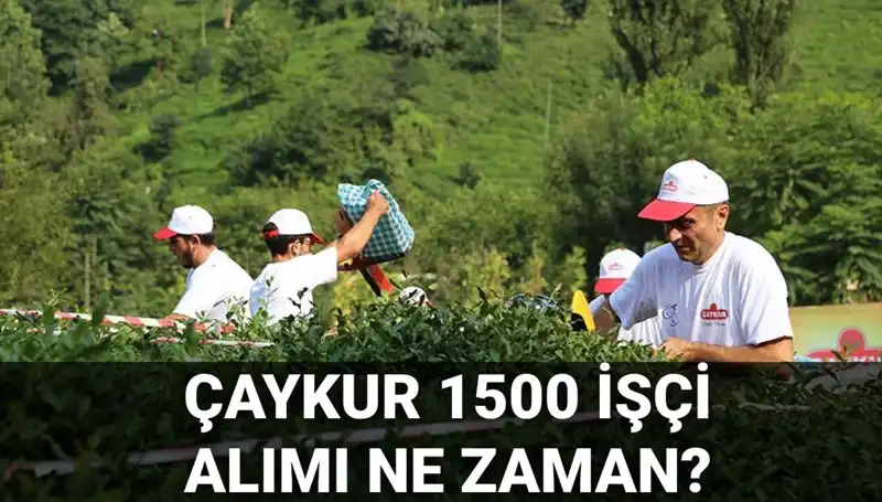 Çaykur İşçi Alımı Başvuru Tarihleri Açıklandı! Fırsatlar Kaçıyor