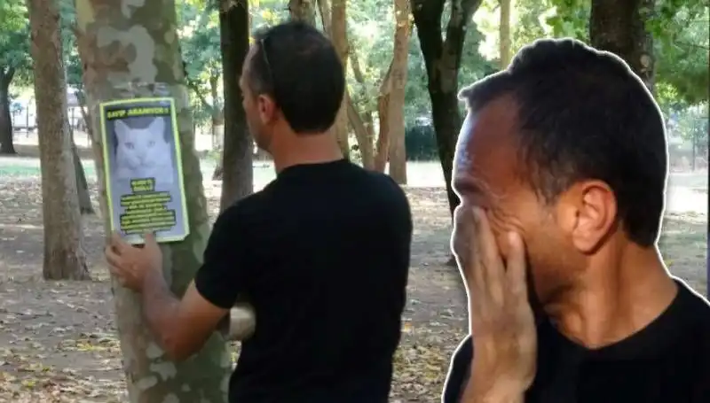 Kaybolan Sevimli Kedi İçin 10 Bin Lira Ödül Teklifi!