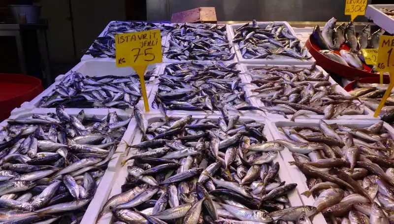 Balık Sezonu Kapanıyor: Son Günler ve Avlanma İpuçları