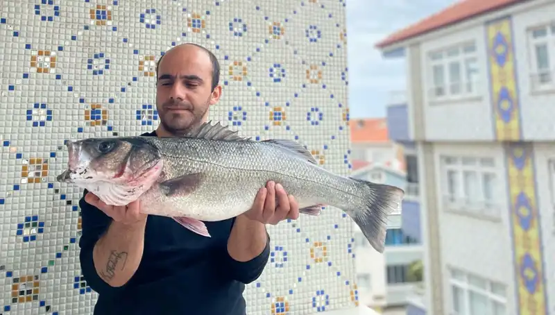 7,5 Kilogram Ağırlığında Dev Levrek Avlandı: Avcılar Şaşkın!