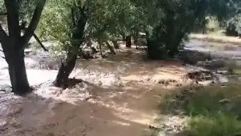Mersin’deki Sağanak Yağışlar Sel Felaketine Dönüştü: Hayat Durdu