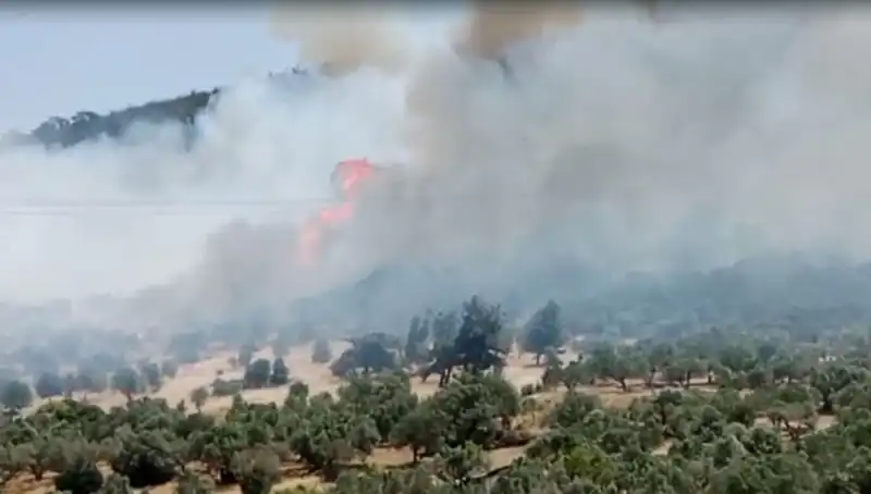 İzmir Orman Yangını: Yangınla Mücadelede Son Durum ve Alınan Önlemler