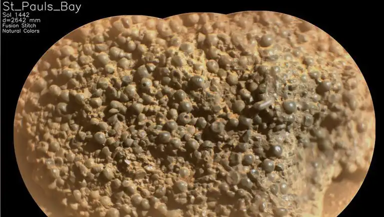 Mars’ta Gizemli Örümcek Yumurtaları: Bilim Dünyasını Şaşırtan Keşif