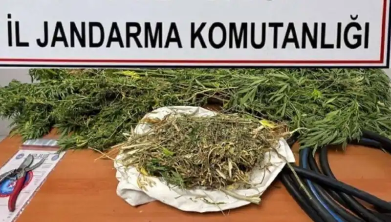 Niğde'de Büyük Uyuşturucu Operasyonu: 5 Kişi Gözaltına Alındı