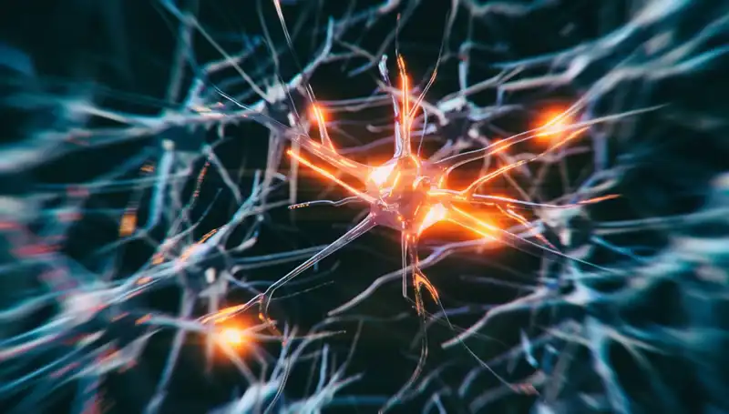 Alzheimer Vakalarındaki Artışın Nedeni: Bilim ve Toplum Üzerindeki Etkiler