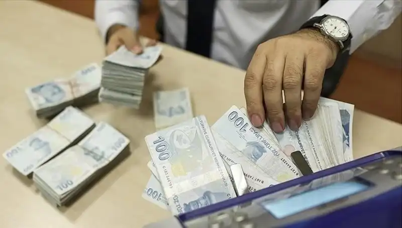 Türkiye'de Bireysel Emeklilik Sistemi: 17,36 Milyon Katılımcı ile Rekor Kırıldı