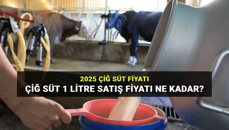 2025 Çiğ Süt Fiyatları: Ulusal Süt Konseyi’nden Son Gelişmeler