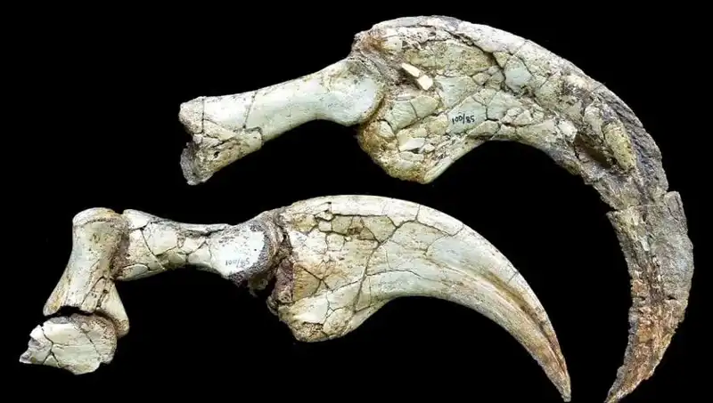 Gobi Çölü'nde Yeni Dinozor Türü Keşfedildi: İki Parmaklı Sır Perdesi Aralanıyor