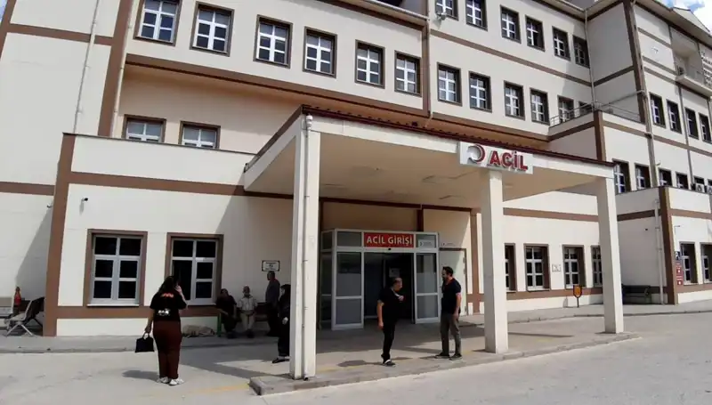 Bolu’da Ayı Avı İzinleri Tartışma Yarattı: Çevreciler ve Avcılar Karşı Karşıya!