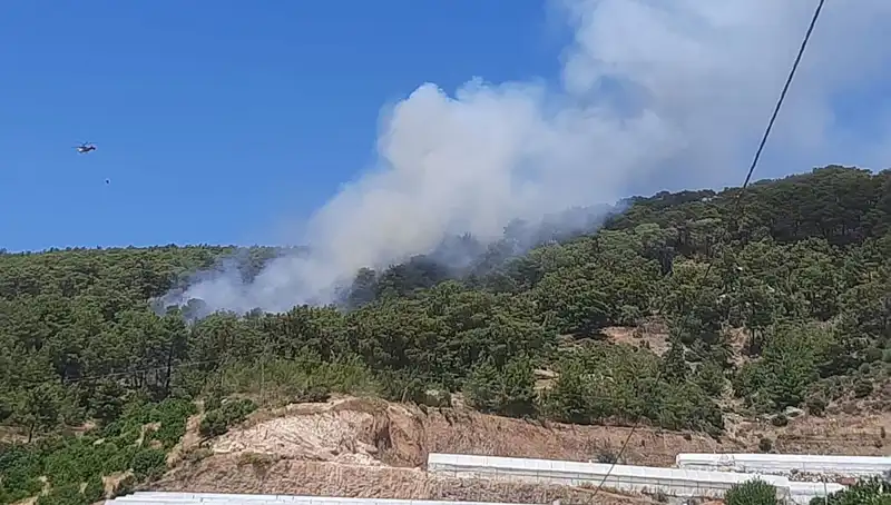 Kumluca’da Patlayan Orman Yangını: Sebepler ve Mücadele Süreci