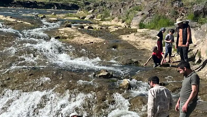 İnci Kefali Göçü: Doğa Harikası Binlerce Turisti Kendine Çekiyor