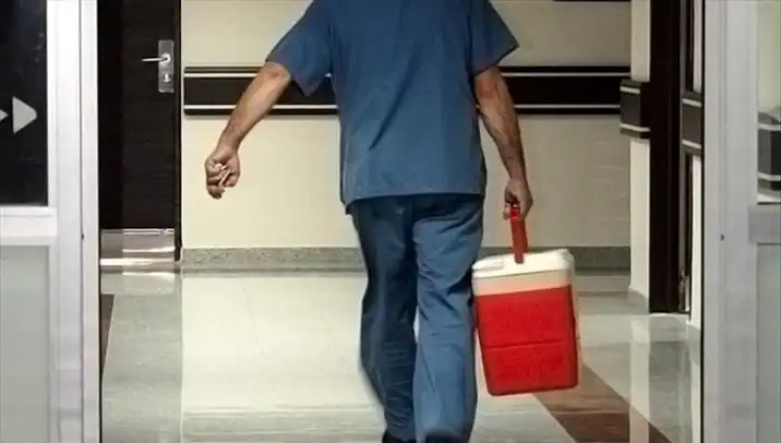 Organ Bağışında Yeni Dönem: e-Devlet ve e-Nabız ile Kolay Adım