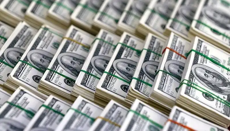 Dolar Hızla Yükseliyor: Ekonomistler Ne Diyor?