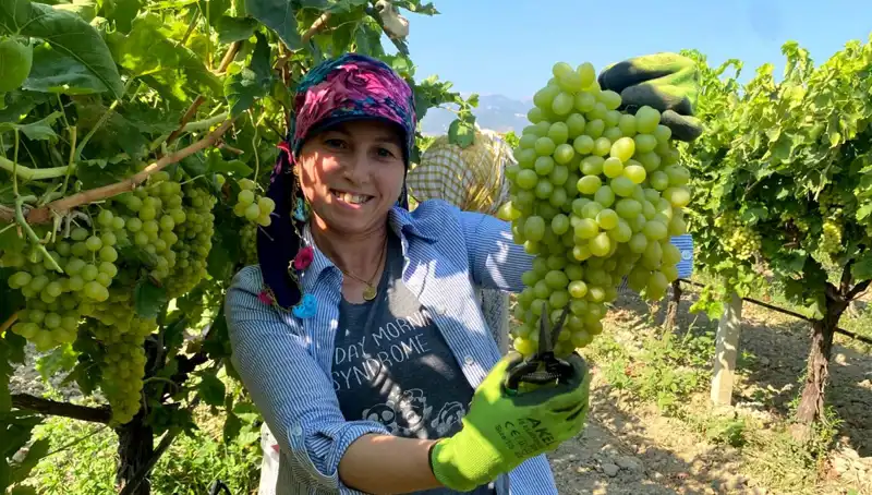 Manisa'dan Avrupa'ya Uzanan Yolculuk: İlk İhracat Tırları Yola Çıktı