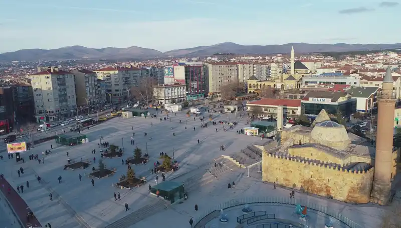 Kırşehir'de Bilim Dünyasını Şaşkına Çeviren Yeni Böcek Türü Keşfedildi