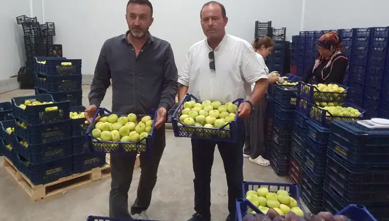 Mersinli Çiftçilerin Yeni Umudu: İhraç Edilen Ürünler Tanesi 20 TL
