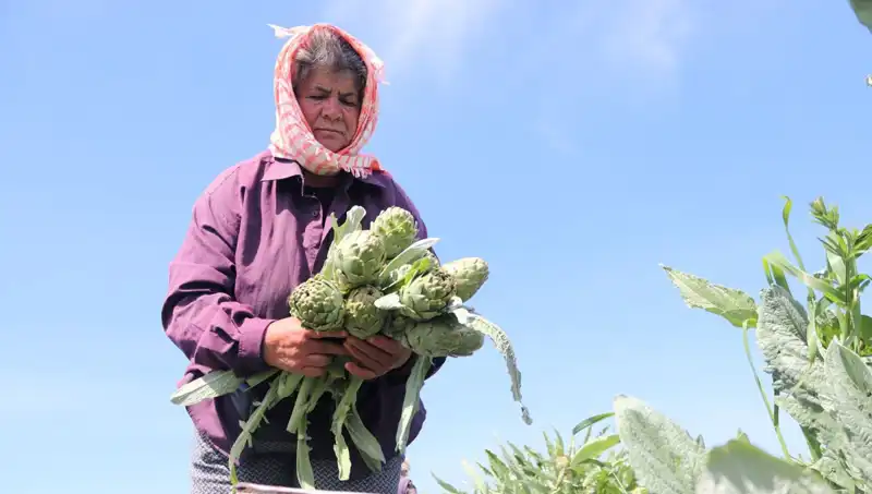 Fahiş Fiyatlarla Mücadele: Tezgahta 50 TL'ye Yükselen Ürünler Neden?