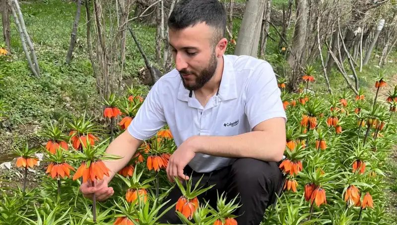 Ağlayan Gelin: Sadece 20 Gün Süren Güzellik için 244 Bin Lira Cezası!