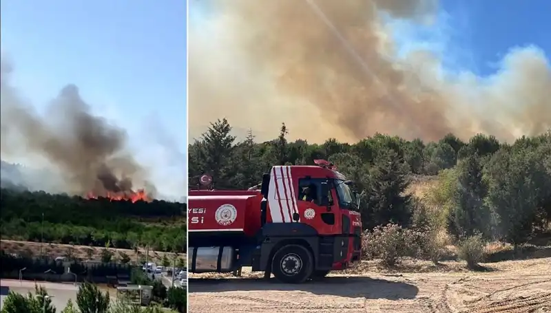 Orman Yangını Gebze’yi Sarsıyor: Ekipler Seferber Oldu!