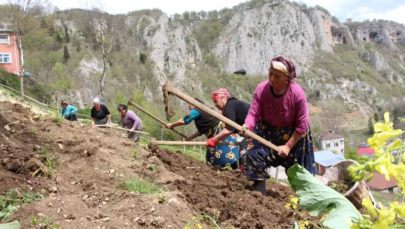 Zorlu Mesai Başladı: Sırtlarda Sepet, Ellerinde Kazmalar ile Mücadele