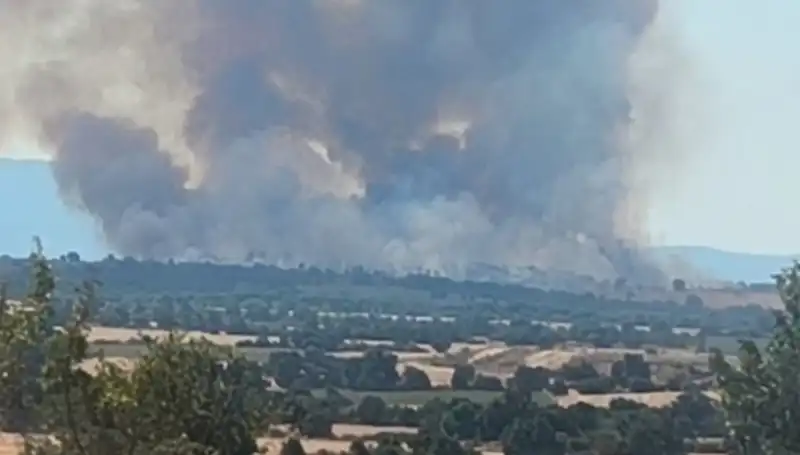 Edirne’yi Sambalı Orman Yangını Sararken, Komşuda Duman Alarmı