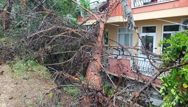 Yağmurların Yıprattığı Bina, Sonunda Devrildi! Neler Oluyor?