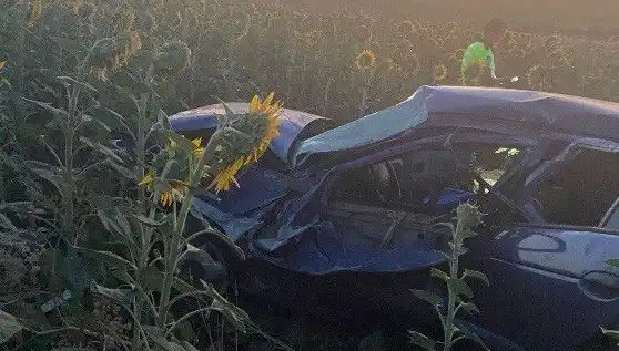 Otomobil Ayçiçeği Tarlasına Devrildi: Yaralılar ve Çarpıcı Detaylar