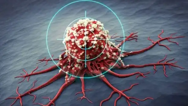 Prostat Kanserine Karşı Mücadelede Etkili 6 Besin: Bilimsel Kanıtlar