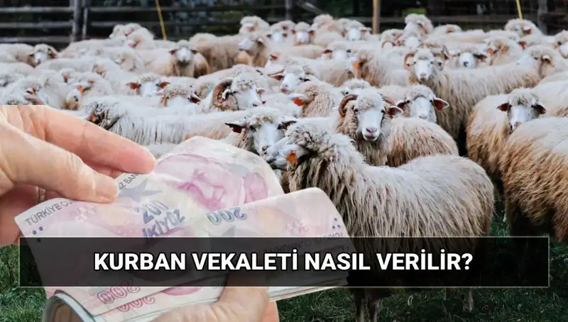 Vekaletle Kurban Kesimi: 2025 Diyanet Bedeli ve Detaylar