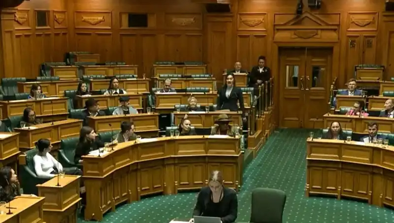 Mecliste Haka Dansı Yapan Vekillere Verilen Uzaklaştırma Cezası Şok Etti