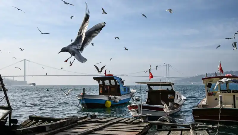 İstanbul'da Bahar Müjdesi: Hava Durumu Üzerine Tüm Bilgiler