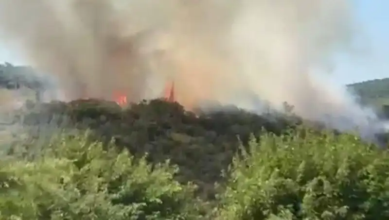İstanbul'daki Orman Yangınında Tahliye Süreci ve Son Durum Nedir?