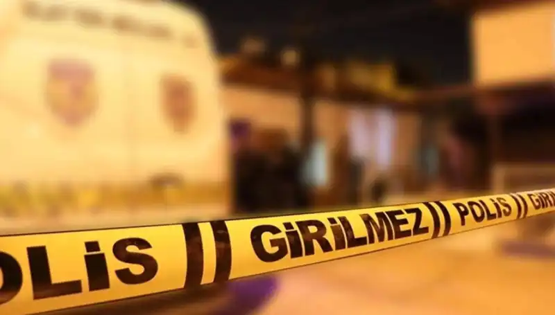 Diyarbakır'da Kayınpederin Dehşet Anları: Aile İçindeki Şiddet Olayı