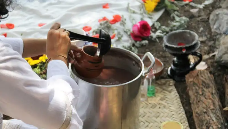 Ayahuasca: Zihin Açıcı Bir Yolculuk veya Tehlikeli Bir Gökkuşağı?