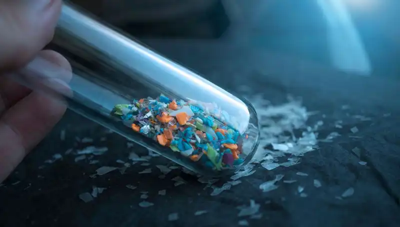 Mikroplastikler İnsan Beynine Sızıyor: Sağlık Etkileri Üzerine Şok Edici Bulgular!