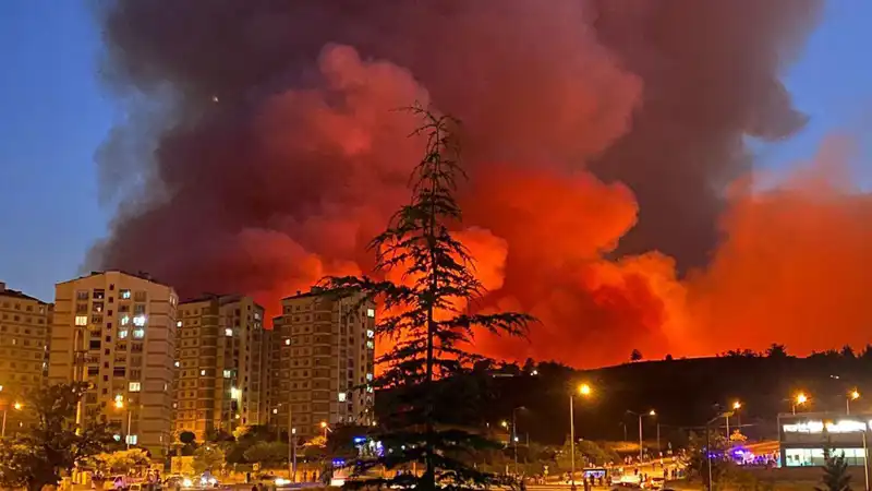 Bursa'da Yangın Alarmı: Şehir Sıcak Havanın Kollarında!