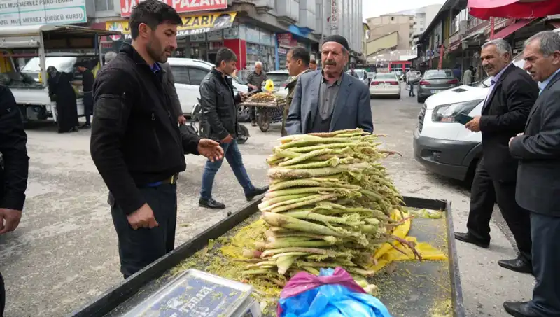 Şeker, Kanser ve Mide Hastalıklarına İyi Geldiği İddia Edilen Doğal Şifa Kaynağı