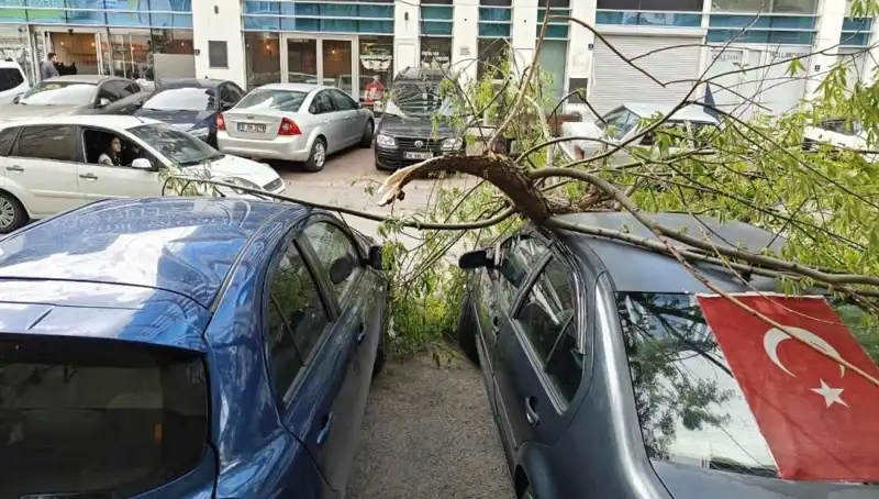 Kayseri'de Dalları Kıran Fırtına: Doğa'nın Gücü Kendini Gösterdi