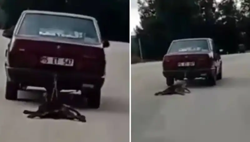 Otomobilin Arkasına Bağlı Köpek Sürüklenirken Şok Edici Anlar Yaşandı