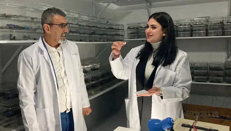 Akrep Zehri ile Şekerin Tuhaf Buluşması: Sağlık mı, Tehlike mi?