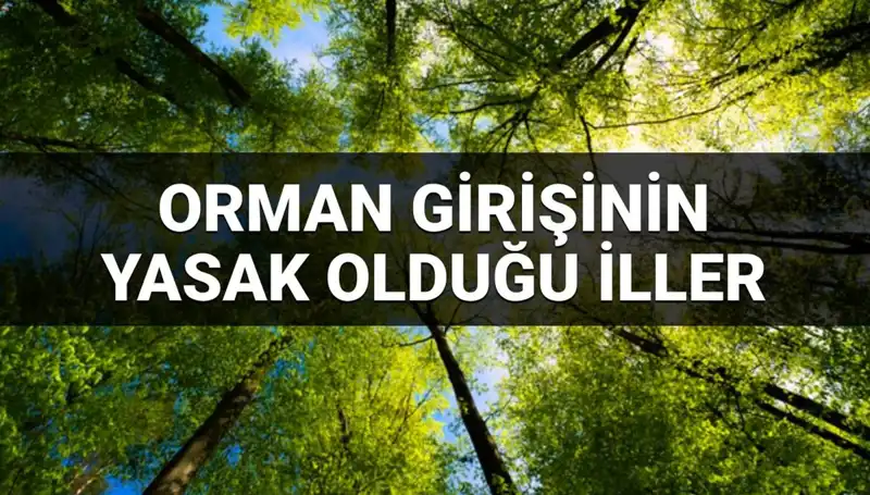 2025'te Ormana Girişin Yasaklandığı İller: Hangi Bölgelerde Dikkat Etmelisiniz?